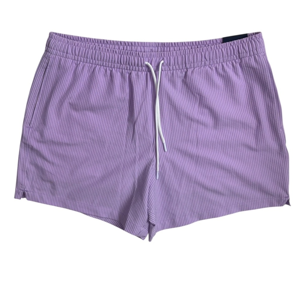 Abercrombie & Fitch Lavender Striped Men's Swim Shorts